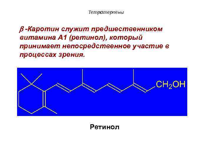 Тетратерпены b -Каротин служит предшественником витамина А 1 (ретинол), который принимает непосредственное участие в