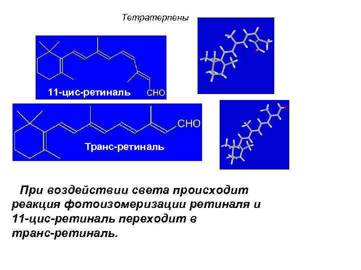 Тетратерпены 11 -цис-ретиналь Транс-ретиналь При воздействии света происходит реакция фотоизомеризации ретиналя и 11 -цис-ретиналь