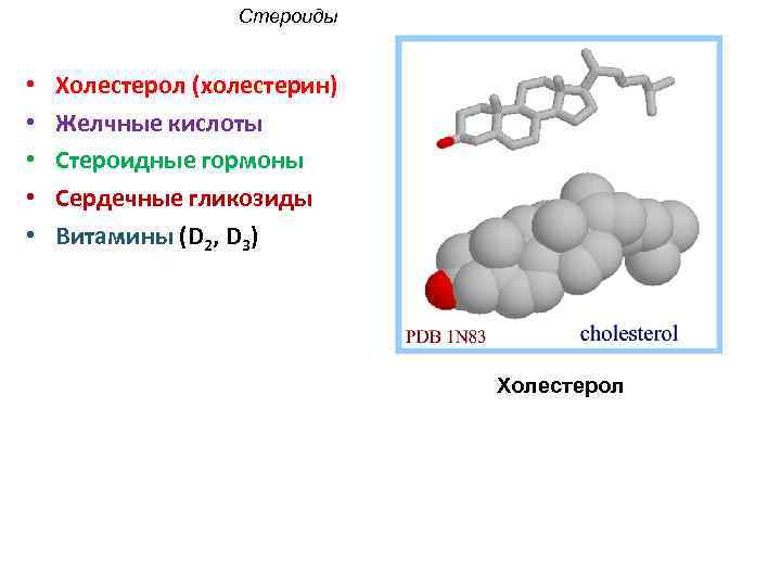 Стероиды • • • Холестерол (холестерин) Желчные кислоты Стероидные гормоны Сердечные гликозиды Витамины (D
