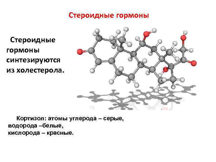 Стероидные гормоны картинки