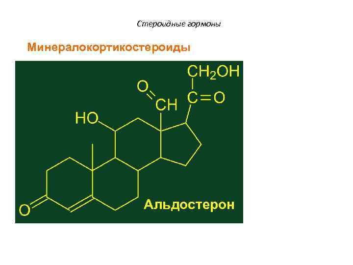 Стероидные гормоны Минералокортикостероиды Альдостерон 