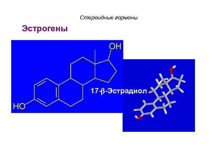 Стероидные гормоны Эстрогены 17 - -Эстрадиол 