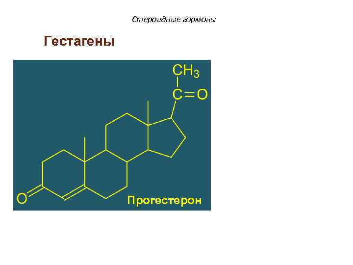 Стероидные гормоны фото