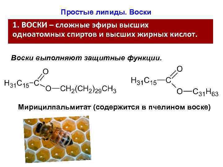 Воски сложные эфиры