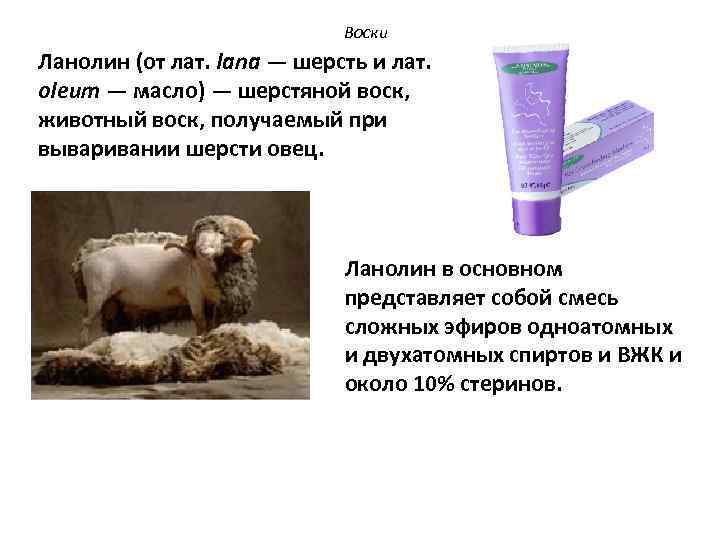 Воски Ланолин (от лат. lana — шерсть и лат. oleum — масло) — шерстяной