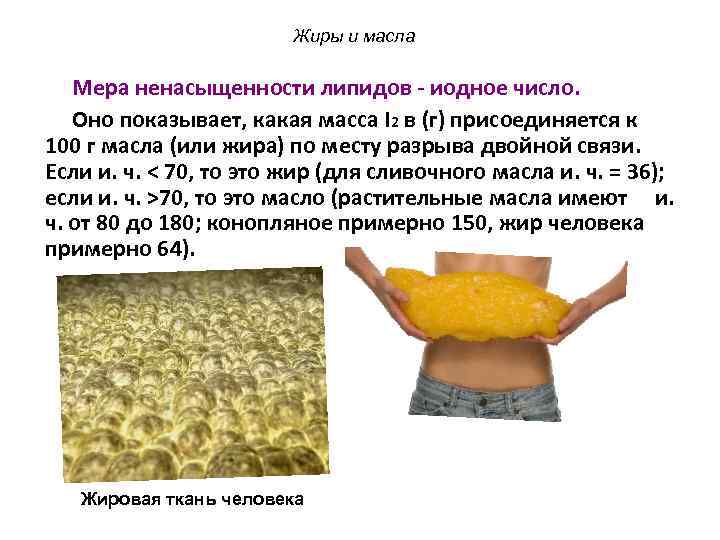 Жиры и масла Мера ненасыщенности липидов - иодное число. Оно показывает, какая масса I