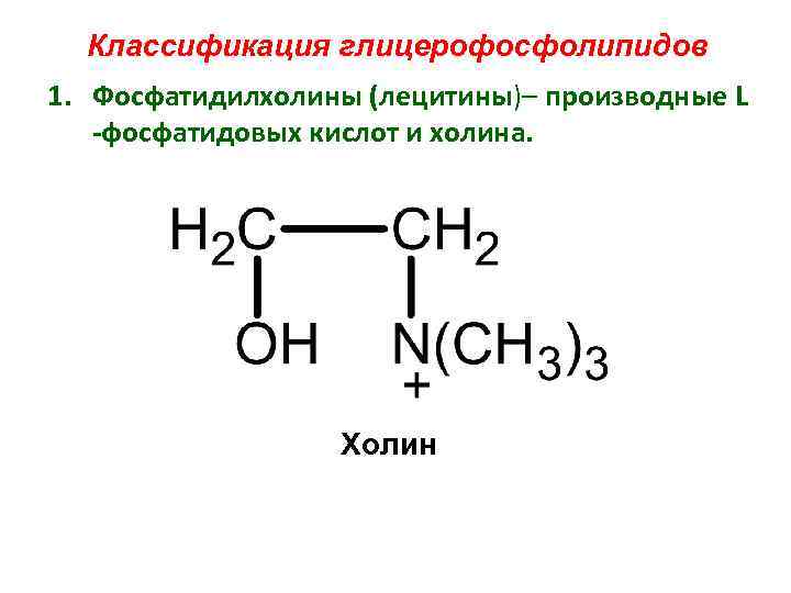 Классификация глицерофосфолипидов 1. Фосфатидилхолины (лецитины)– производные L -фосфатидовых кислот и холина. Холин 