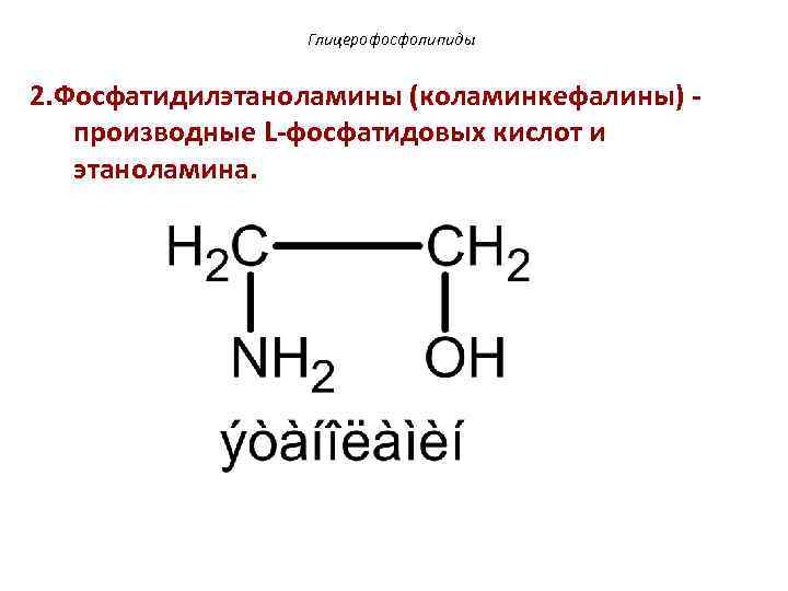 Глицерофосфолипиды 2. Фосфатидилэтаноламины (коламинкефалины) производные L-фосфатидовых кислот и этаноламина. 