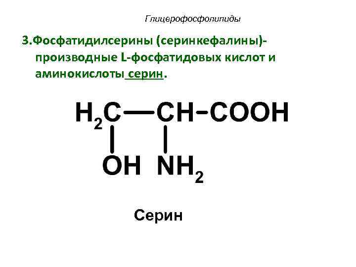 Глицерофосфолипиды 3. Фосфатидилсерины (серинкефалины)производные L-фосфатидовых кислот и аминокислоты серин. Серин 