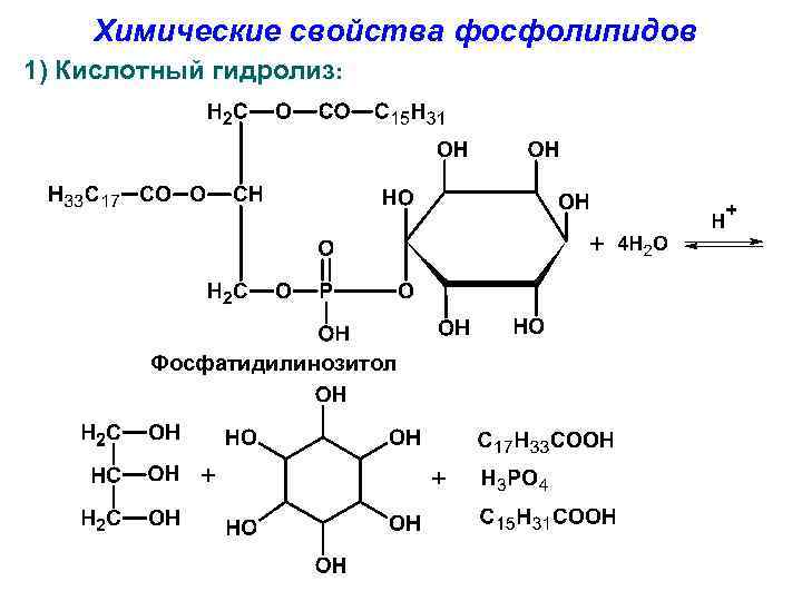 Химические свойства фосфолипидов 1) Кислотный гидролиз: Фосфатидилинозитол 