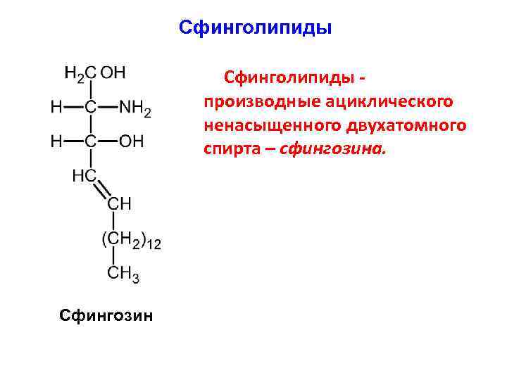 Сфинголипиды производные ациклического ненасыщенного двухатомного спирта – сфингозина. Сфингозин 
