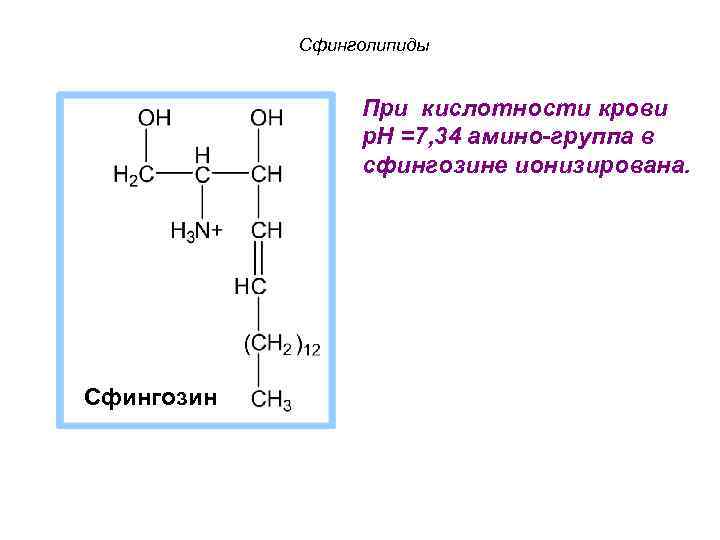 Сфинголипиды При кислотности крови р. Н =7, 34 амино-группа в сфингозине ионизирована. Сфингозин 