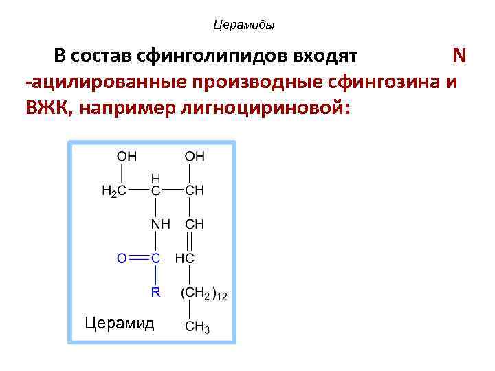 Что такое церамиды. Церамиды и Сфинголипиды. Церамиды ацилированные производные сфингозина. Церамид строение. Церамид формула структурная.