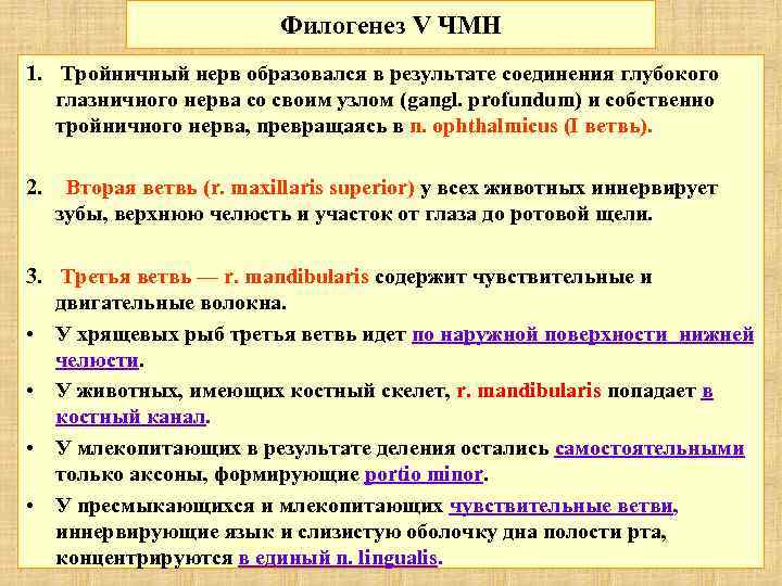 Филогенез V ЧМН 1. Тройничный нерв образовался в результате соединения глубокого глазничного нерва со