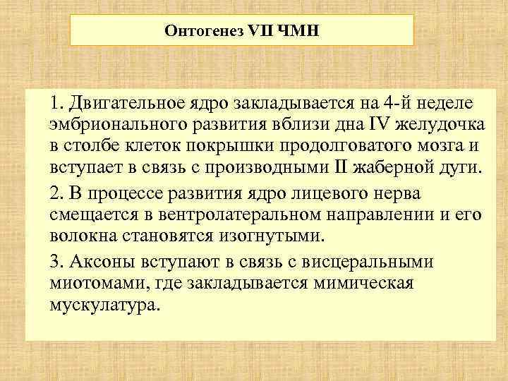 Онтогенез VII ЧМН 1. Двигательное ядро закладывается на 4 -й неделе эмбрионального развития вблизи