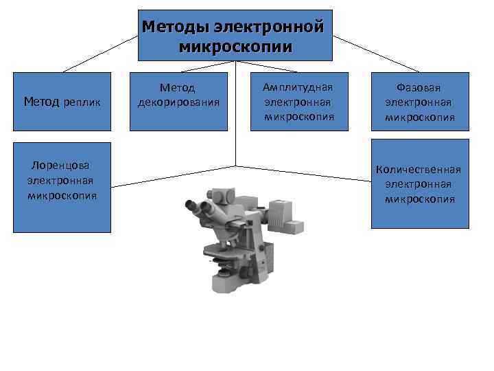  Методы электронной микроскопии Метод Амплитудная Фазовая Метод реплик декорирования электронная микроскопия Лоренцова Количественная