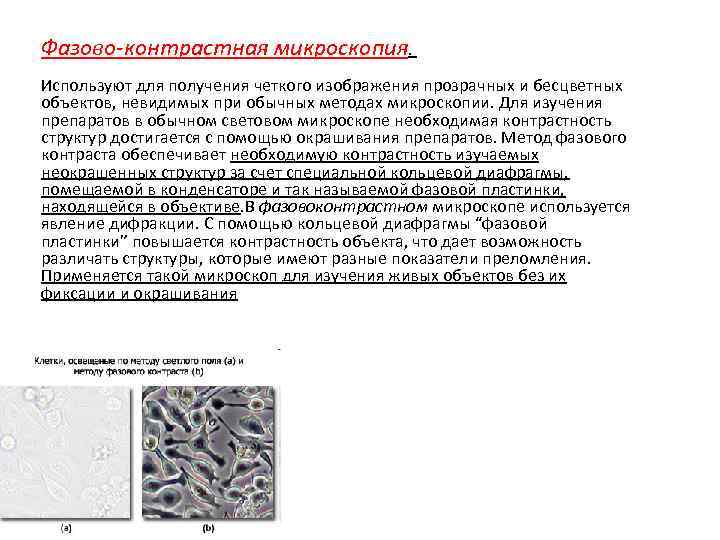 Фазово-контрастная микроскопия. Используют для получения четкого изображения прозрачных и бесцветных объектов, невидимых при обычных