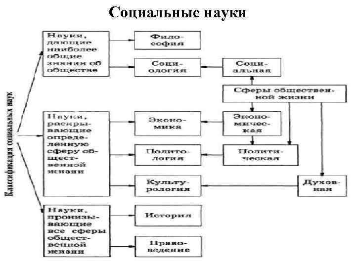 Социальные науки 