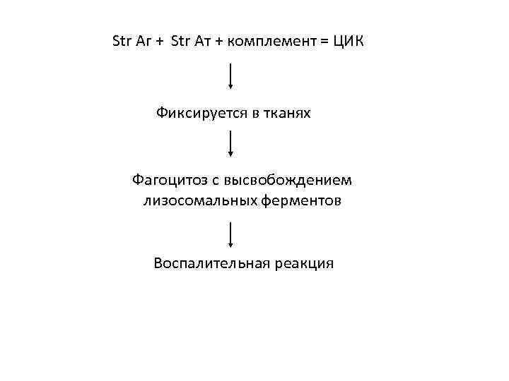 Str Aг + Str Ат + комплемент = ЦИК Фиксируется в тканях Фагоцитоз с