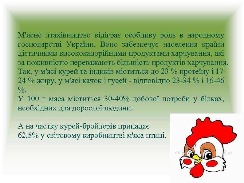 М'ясне птахівництво відіграє особливу роль в народному господарстві України. Воно забезпечує населення країни дієтичними