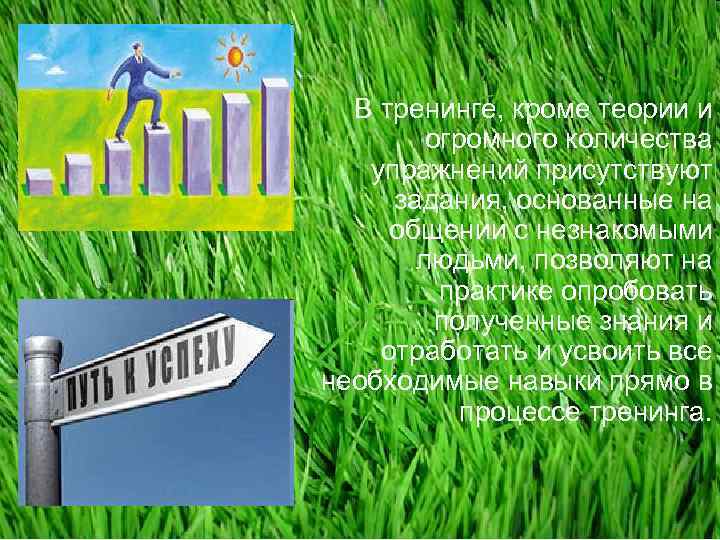 В тренинге, кроме теории и огромного количества упражнений присутствуют задания, основанные на общении с