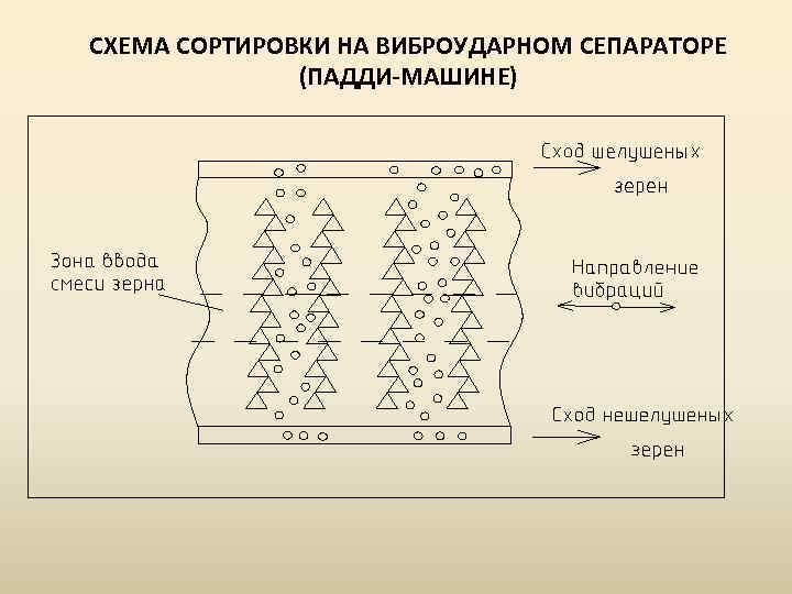 СХЕМА СОРТИРОВКИ НА ВИБРОУДАРНОМ СЕПАРАТОРЕ (ПАДДИ-МАШИНЕ) 