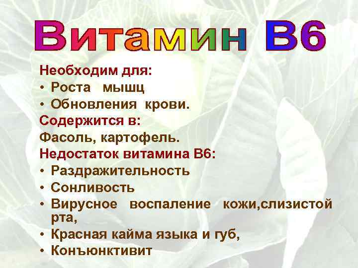 Необходим для: • Роста мышц • Обновления крови. Содержится в: Фасоль, картофель. Недостаток витамина