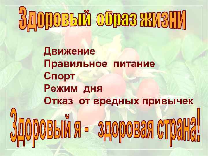 Движение Правильное питание Спорт Режим дня Отказ от вредных привычек 