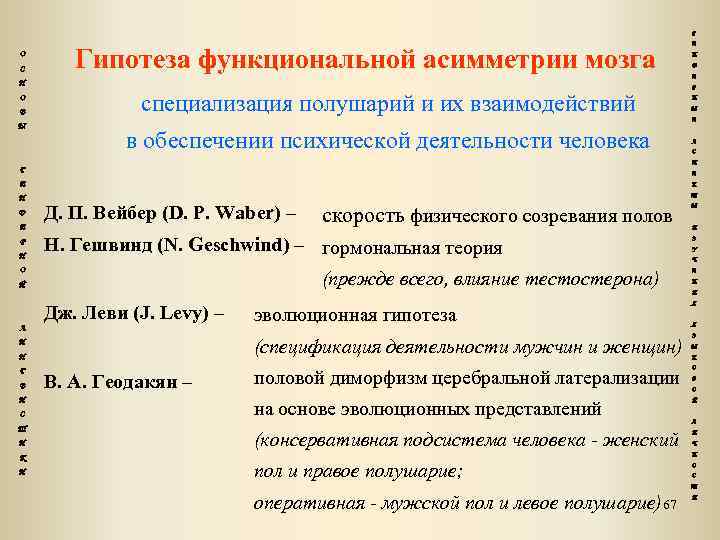 Г О С Гипотеза функциональной асимметрии мозга Н О В Ы специализация полушарий и