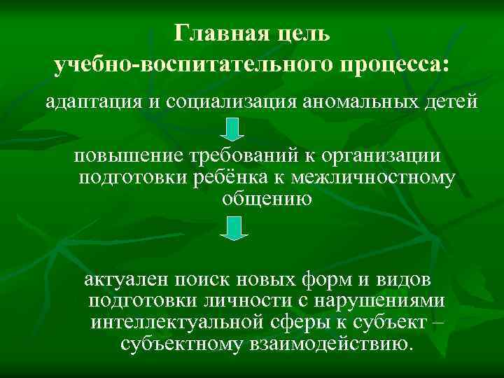 Главная цель учебно-воспитательного процесса: адаптация и социализация аномальных детей повышение требований к организации подготовки