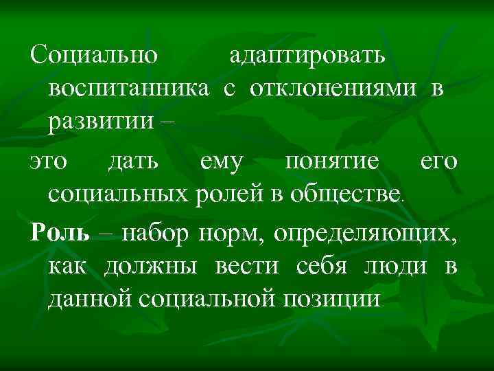 Социально адаптировать воспитанника с отклонениями в развитии – это дать ему понятие его социальных