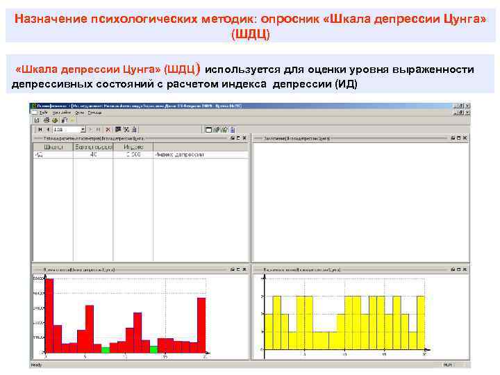 Назначение психологических методик: опросник «Шкала депрессии Цунга» (ШДЦ) используется для оценки уровня выраженности депрессивных