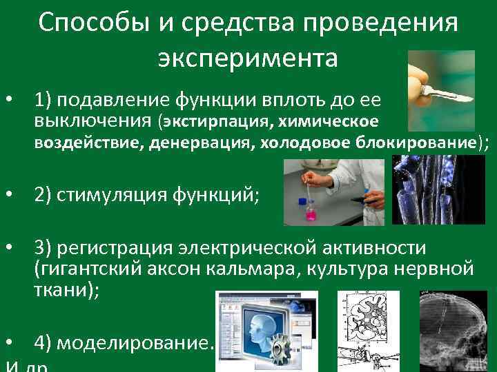 Способы и средства проведения эксперимента • 1) подавление функции вплоть до ее выключения (экстирпация,
