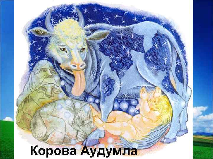 Корова Аудумла 