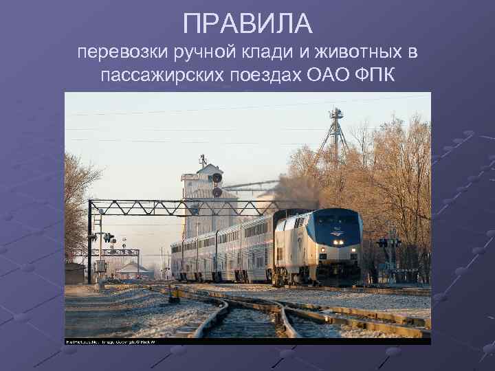 ПРАВИЛА перевозки ручной клади и животных в пассажирских поездах ОАО ФПК 