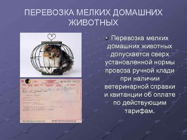 ПЕРЕВОЗКА МЕЛКИХ ДОМАШНИХ ЖИВОТНЫХ Перевозка мелких домашних животных допускается сверх установленной нормы провоза ручной