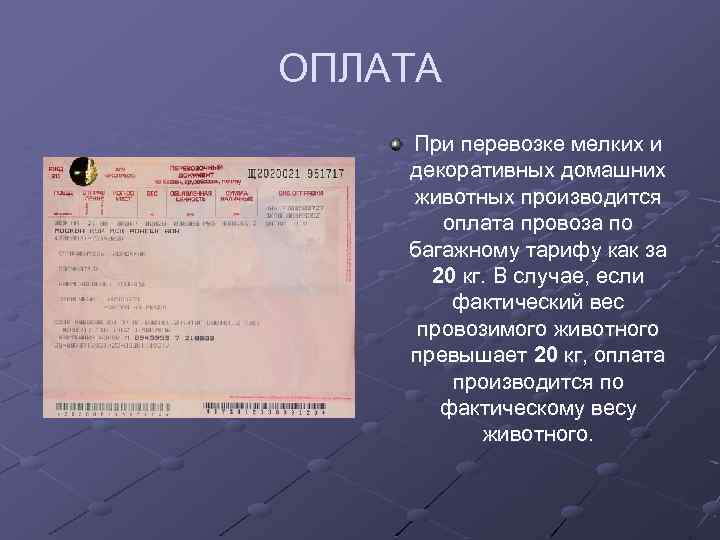ОПЛАТА При перевозке мелких и декоративных домашних животных производится оплата провоза по багажному тарифу