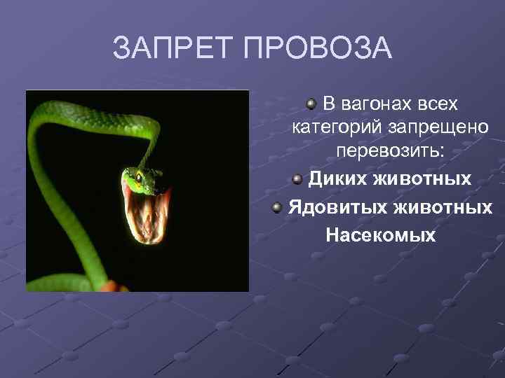 ЗАПРЕТ ПРОВОЗА В вагонах всех категорий запрещено перевозить: Диких животных Ядовитых животных Насекомых 