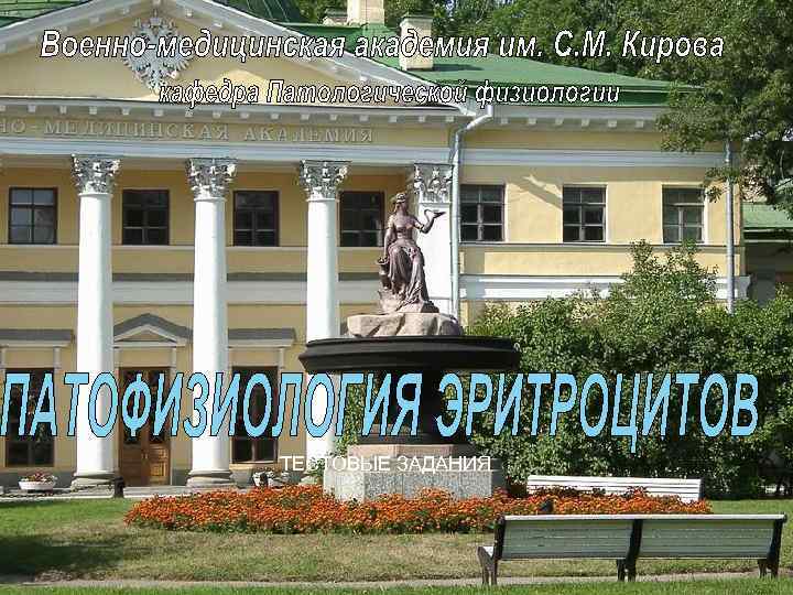 ТЕСТОВЫЕ ЗАДАНИЯ 