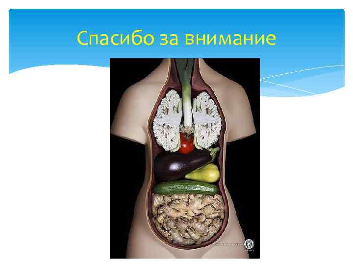 Спасибо за внимание 