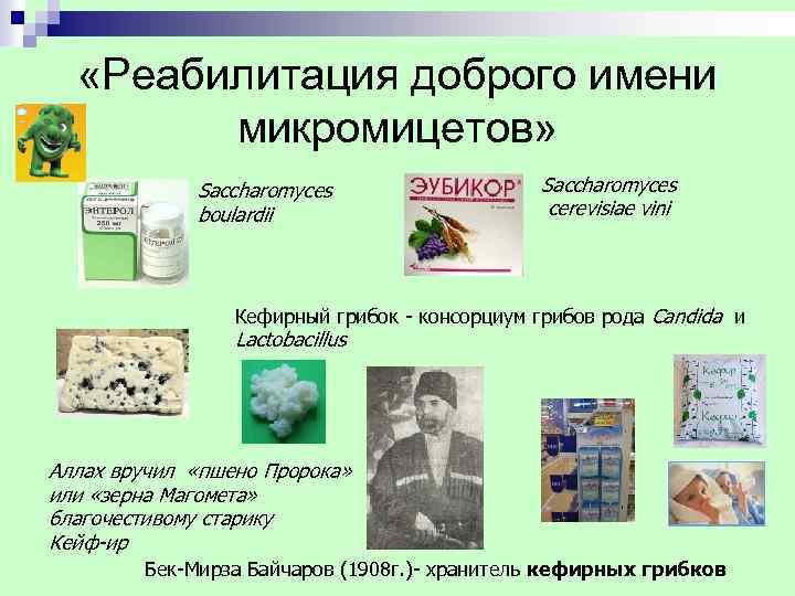  «Реабилитация доброго имени микромицетов» Saccharomyces boulardii cerevisiae vini Кефирный грибок - консорциум грибов