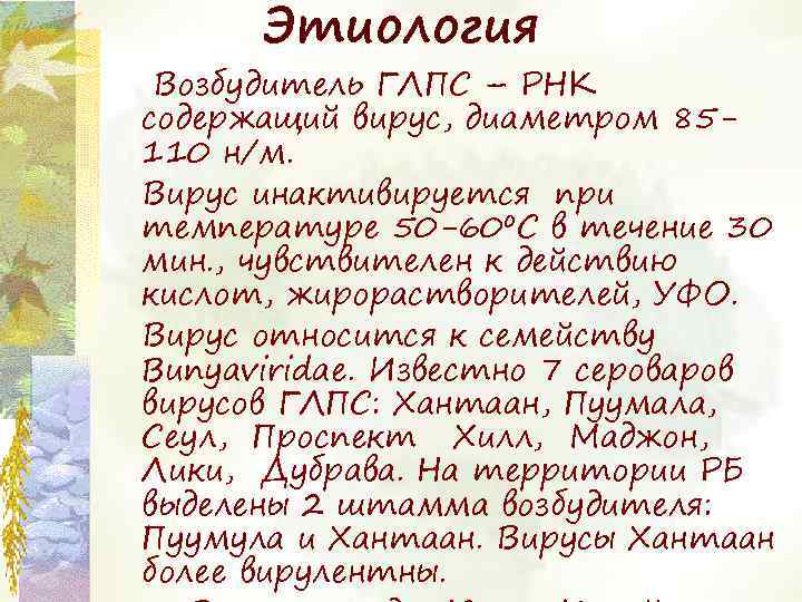 Этиология Возбудитель ГЛПС – РНК содержащий вирус, диаметром 85110 н/м. Вирус инактивируется при температуре