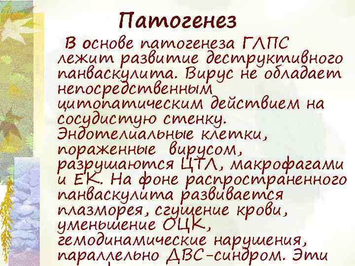 Патогенез В основе патогенеза ГЛПС лежит развитие деструктивного панваскулита. Вирус не обладает непосредственным цитопатическим