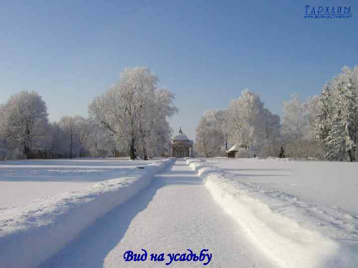 Вид на усадьбу 