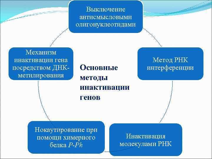 Выключение антисмысловыми олигонуклеотидами Механизм инактивации гена посредством ДНКметилирования Основные методы инактивации генов Нокаутирование при