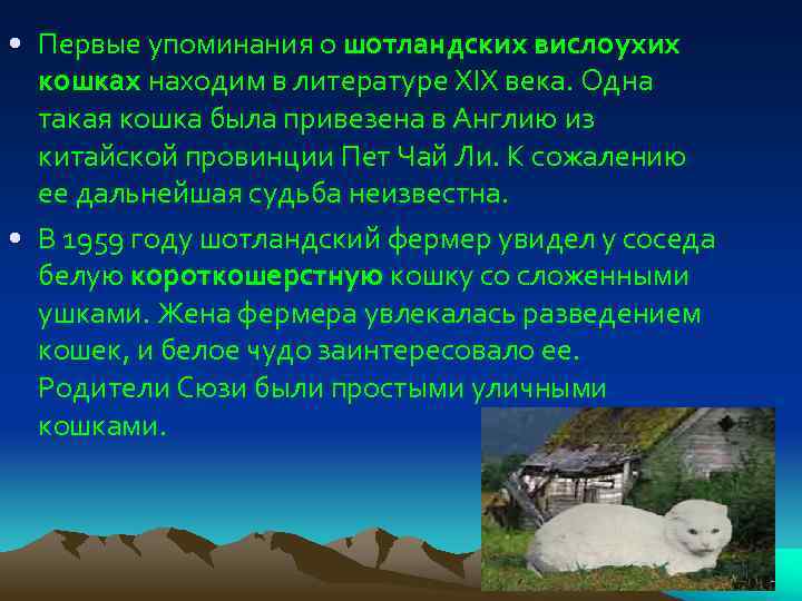  • Первые упоминания о шотландских вислоухих кошках находим в литературе XIX века. Одна