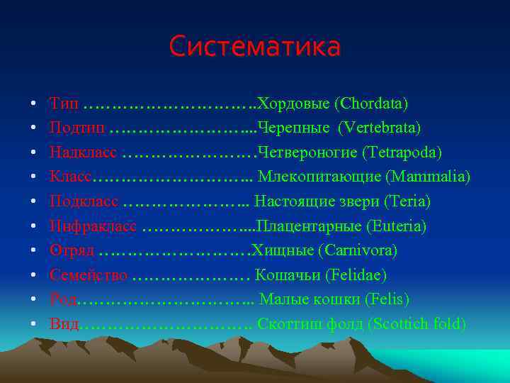 Систематика • • • Тип ……………. Хордовые (Chordata) Подтип …………. . . Черепные (Vertebrata)