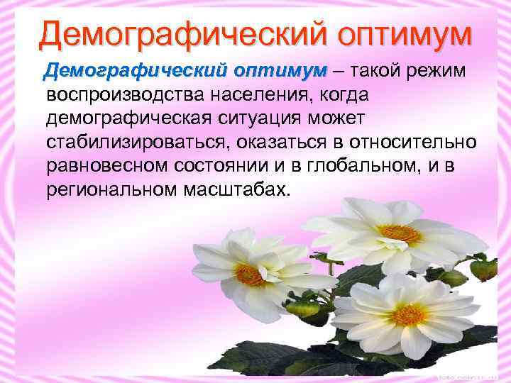 Демографический оптимум – такой режим воспроизводства населения, когда демографическая ситуация может стабилизироваться, оказаться в