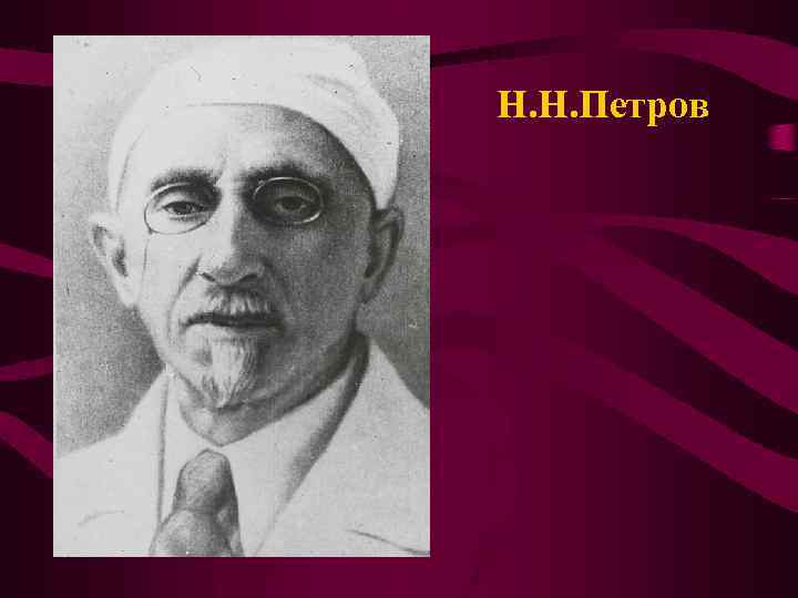 Н. Н. Петров 