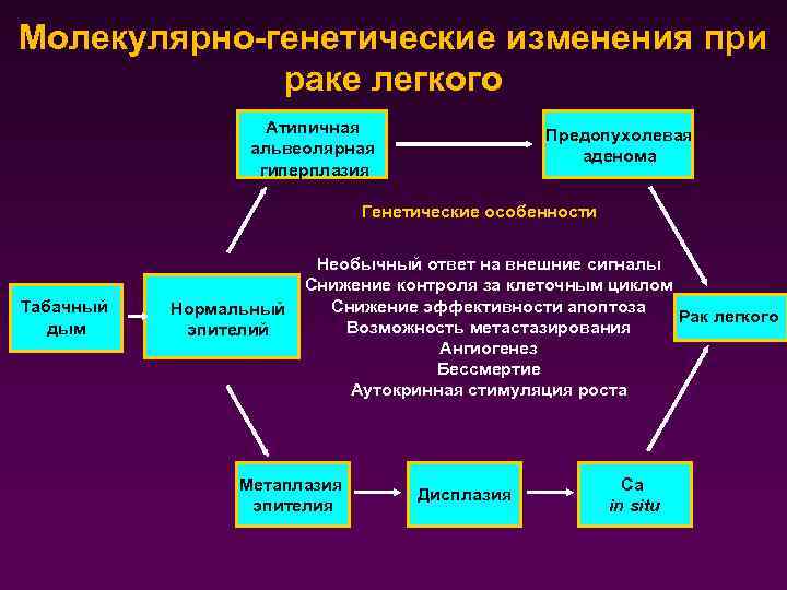 Молекулярно-генетические изменения при раке легкого Атипичная альвеолярная гиперплазия Предопухолевая аденома Генетические особенности Табачный дым